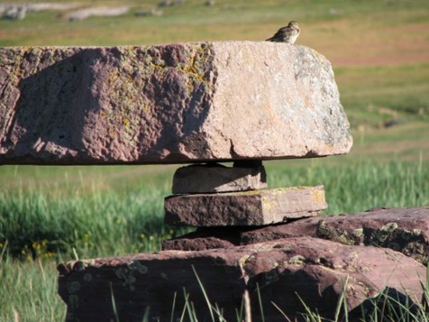 Nordboruin i Igaliku